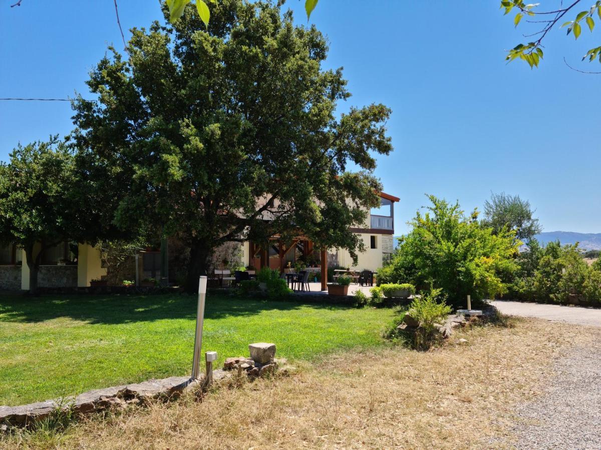 Agriturismo Sa Pigalva Тула Экстерьер фото