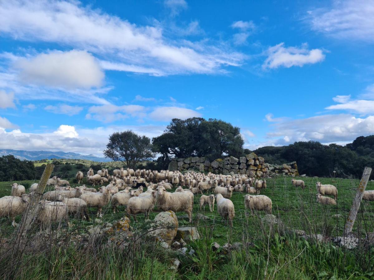 Agriturismo Sa Pigalva Тула Экстерьер фото
