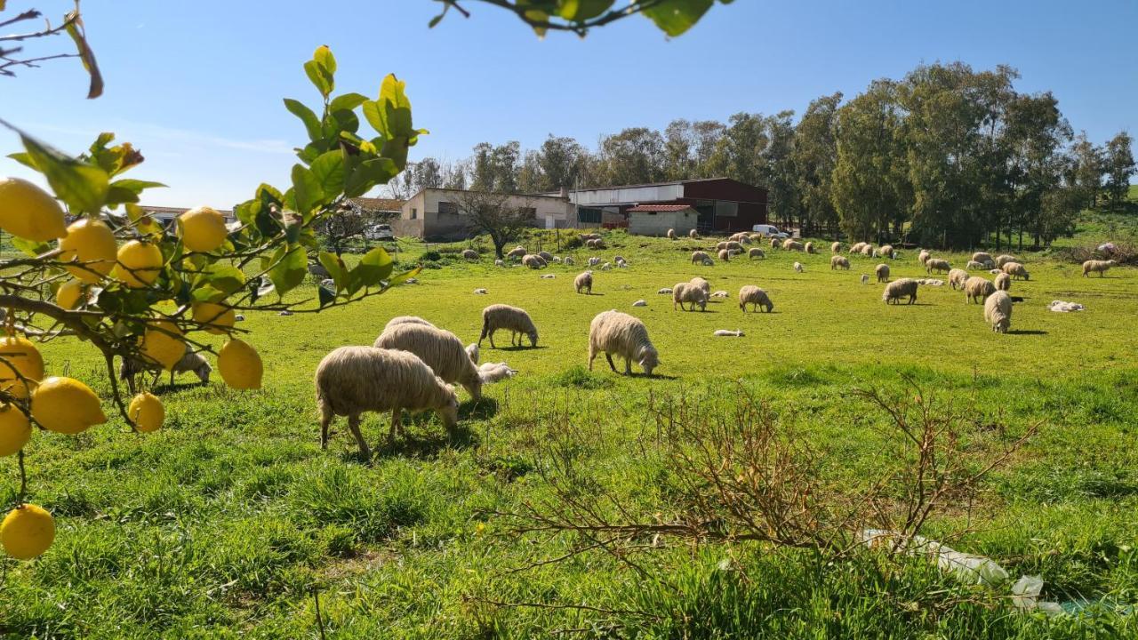 Agriturismo Sa Pigalva Тула Экстерьер фото