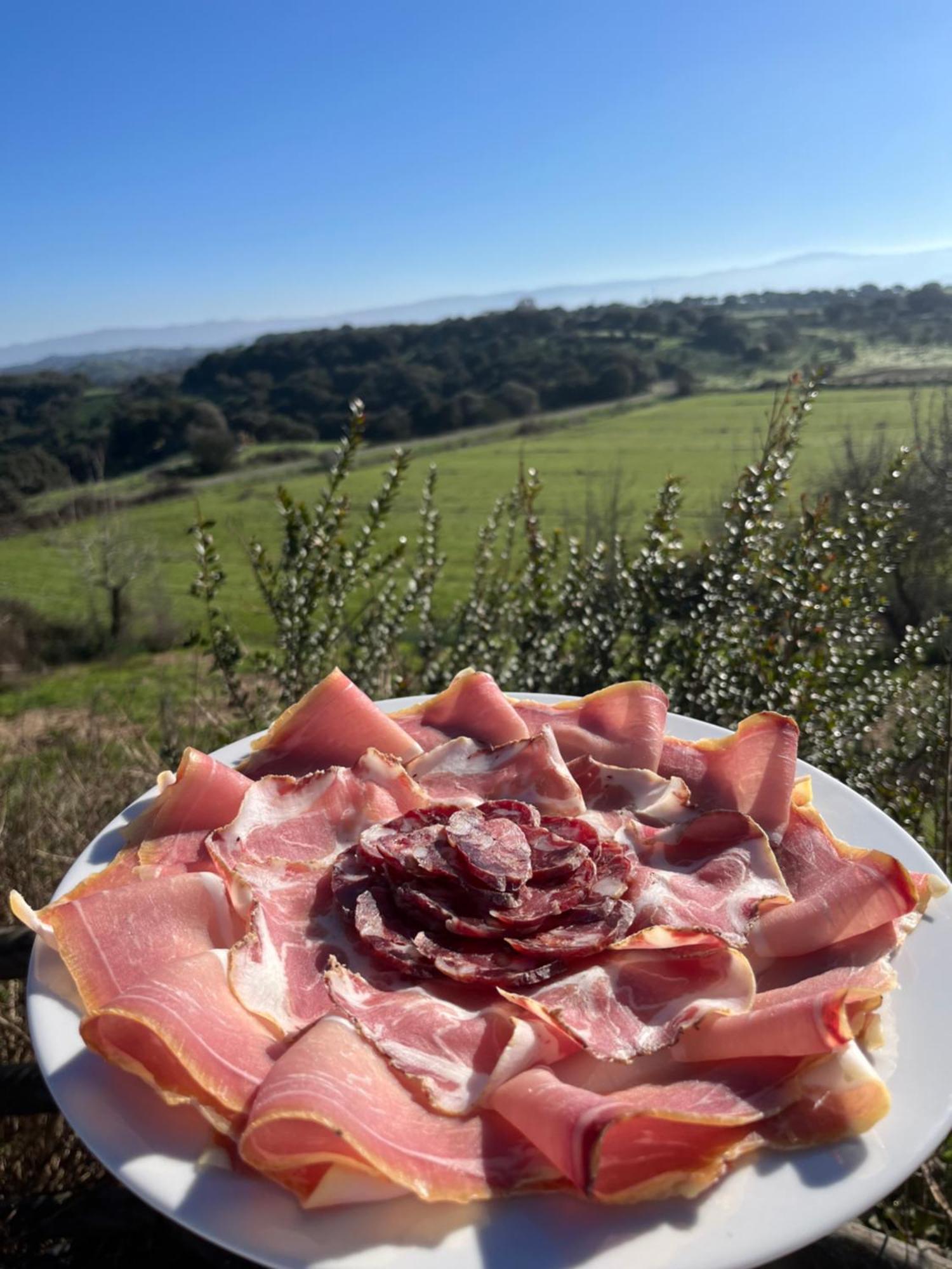 Agriturismo Sa Pigalva Тула Экстерьер фото