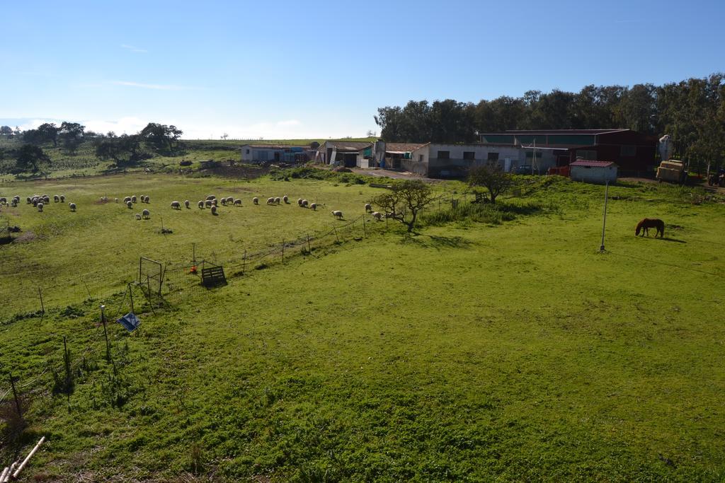 Agriturismo Sa Pigalva Тула Экстерьер фото