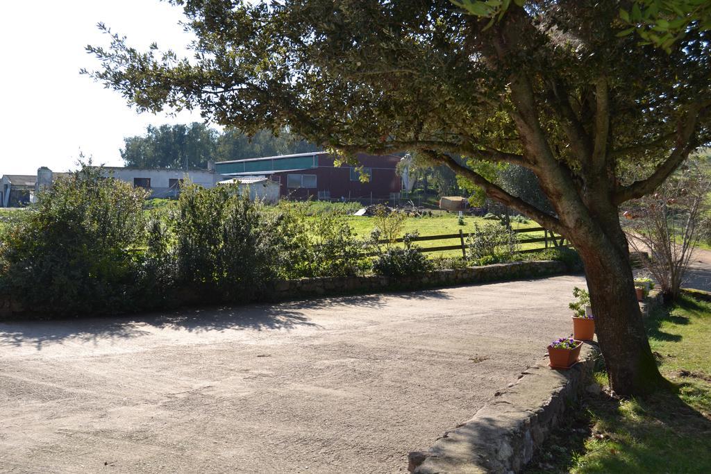 Agriturismo Sa Pigalva Тула Экстерьер фото